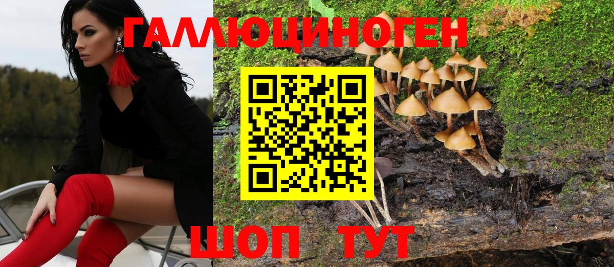 Скопин  Галлюциногенные грибы Psilocybine cubensis  Вход с VPN 