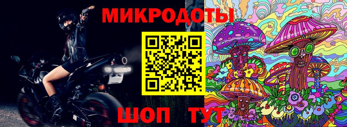 Галлюциногенные грибы Psilocybe Скопин
